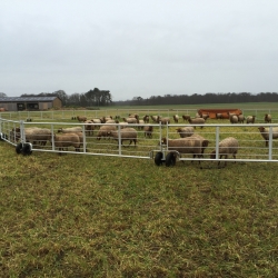 Vue parc à moutons 