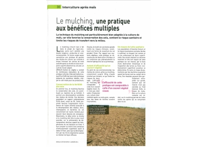 Le mulching, une pratique aux bénéfices multiples