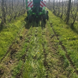 Strip-till 5 rangs 